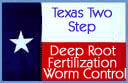 texasflag