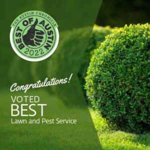 Best Weed Control Companies in Austin TX