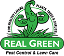 Best Weed Removal Company in Austin