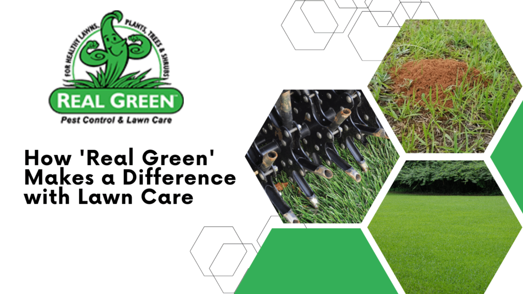 Real Green Pest Control And Lawn Care Reviews Austin Tx Anginull